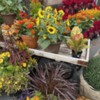 More (!) Fabulous Fall Flowers at the Same Garden Center: Photo by Julia M Usher