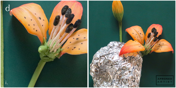 Step 5d - Attach Another Petal and Prop to Set