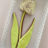 Dimensional Tulip Cookie Platter - Variation Using SugarVeil®: Design, Cookies, and Photo by Manu