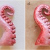 Steps 9c and 9d - Paint Tentacle: Icing and Photos by Aproned Artist