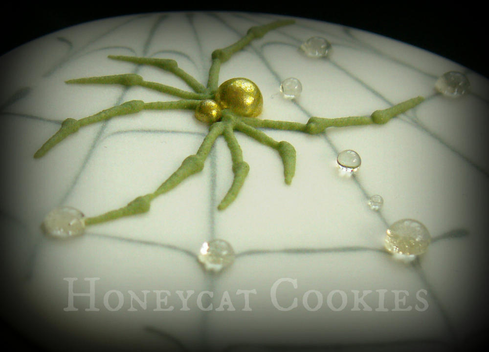 Honeycat Spiders! (35)