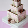 Wedding Cake Box: Cookies and Photo by Julia M Usher