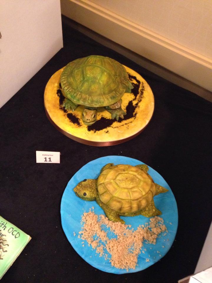 Tortoise and turtle