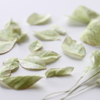 Wafer Paper Leaves, Mostly Un-Wired: Wafer Paper Leaves and Photo by Julia M Usher