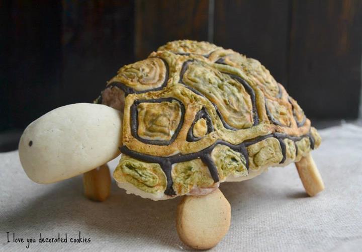 3D turtle cookie