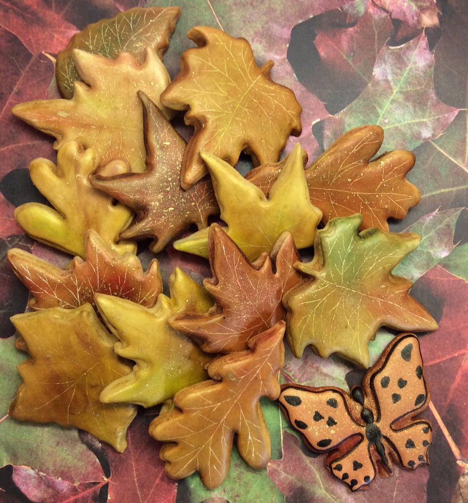 Fall Leaves and Butterfly