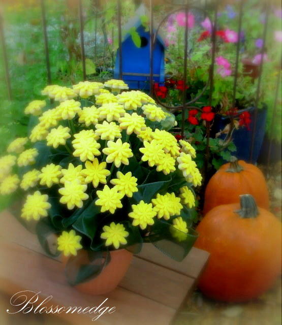 Yellow Chrysanthemum Cookie Bouquet