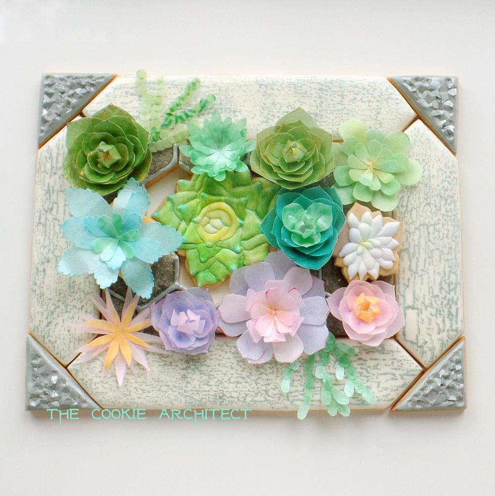Succulents Framed | The Cookie Architect