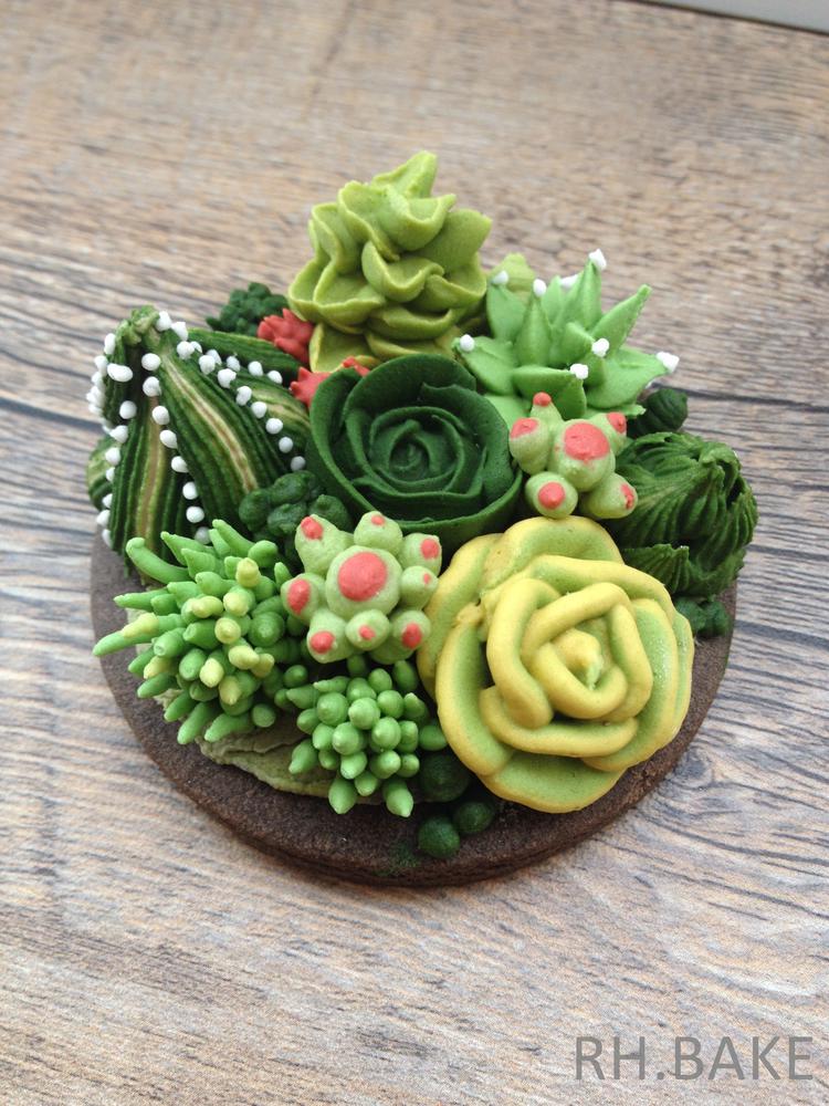 Handpiped Succulents and Cacti