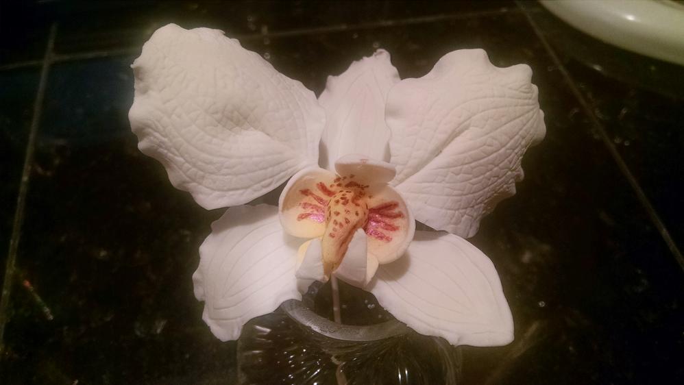 Gumpaste Moth Orchid