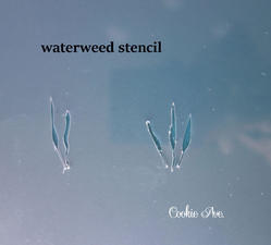 waterweed