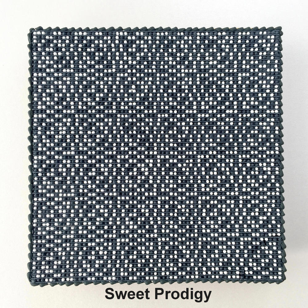 Black and White No. 2 | Sweet Prodigy