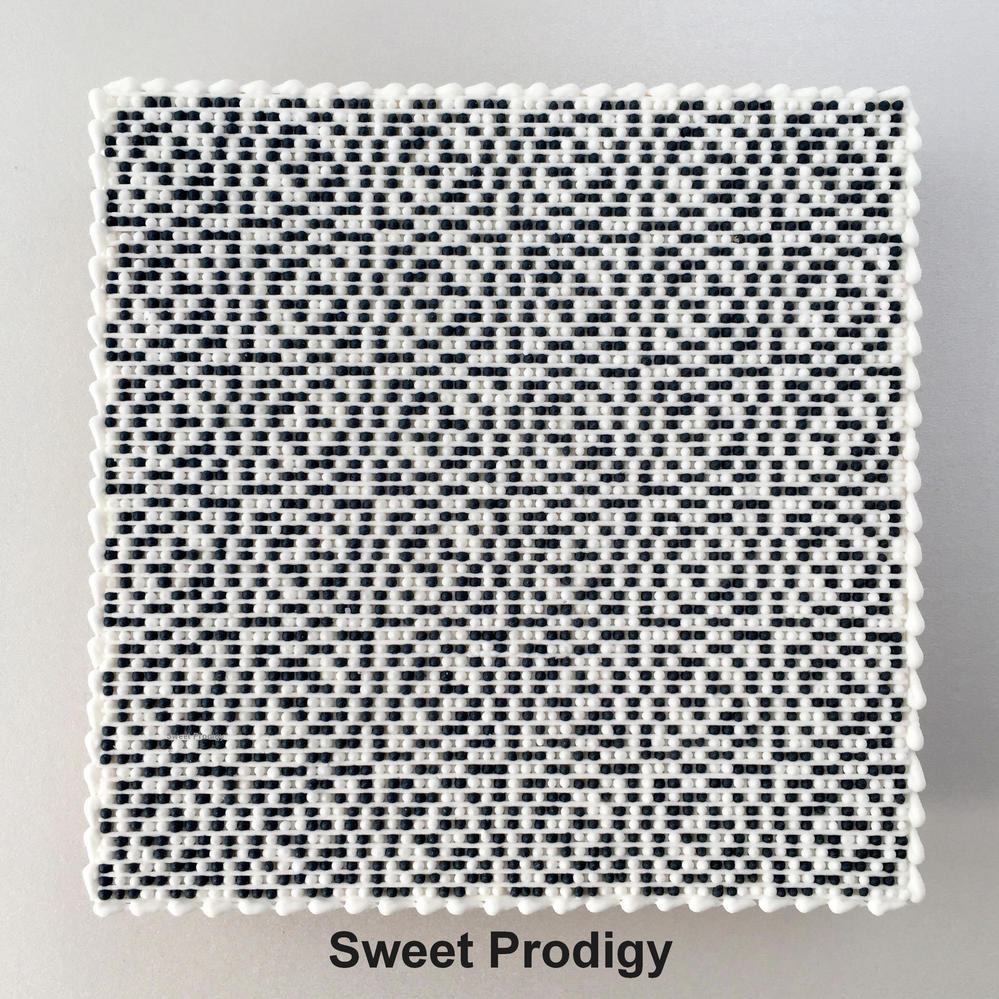 Black and White No. 1 - Sweet Prodigy