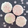Cherry Blossoms Cupcakes_3