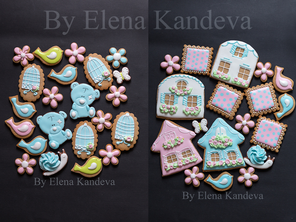 Spring and girl's BD cookies (animal, flowers, house)