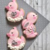 Baby rubber ducks &amp; Little bunny: Silviya