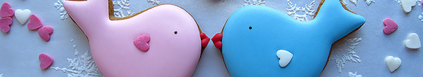 cookie connection_site submission_february_banner