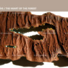 Heart of the Forest - decor: tree bark