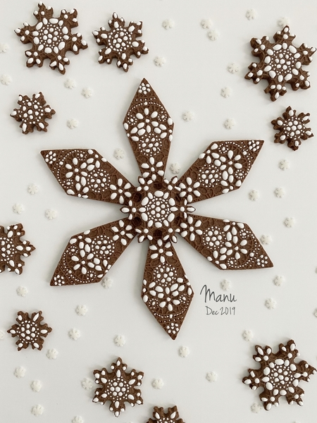 Embossed and Decorated Snowflake Cookie