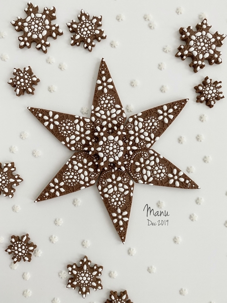Embossed and Decorated Snowflake Cookie
