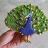 Peacock Video
