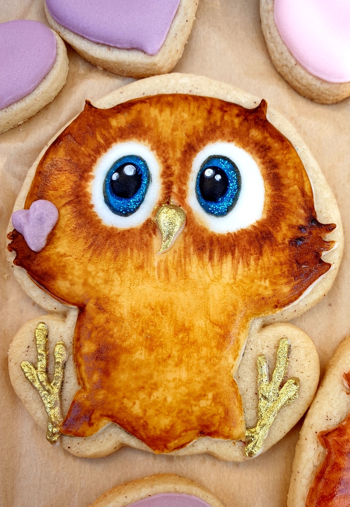 Cute Owl Close-up