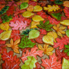Autumn leaves: icingsugarkeks