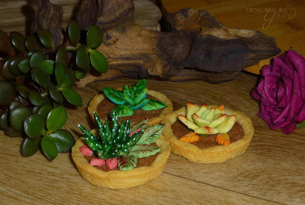 My Last Succulent Cookie Set