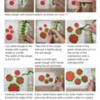 Watermelon_Easy Cookies_2022_06-28