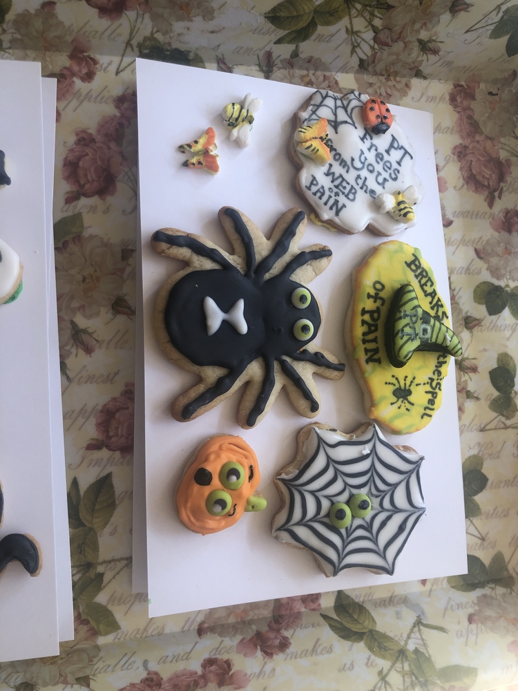 Spider and Web with Fondant Bugs for PT Month